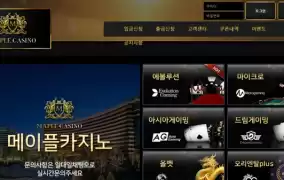 메이플카지노(MAPELCASINO)먹튀 메이플카지노먹튀도메인 www.maple-7788.com