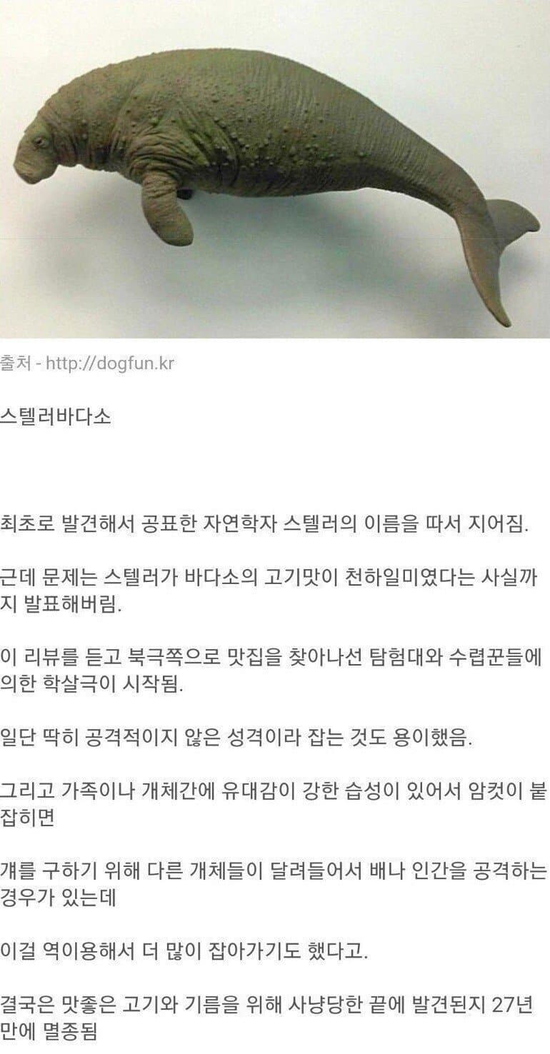 발견된지 27년만에 멸종돼버린 놈