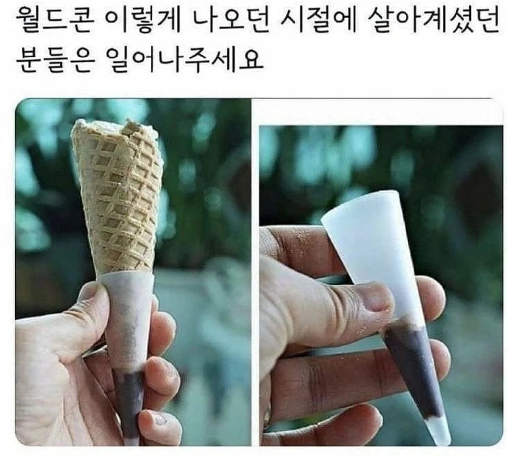 월드콘 이렇게 나오던 시절에 살아계셨던 분들?