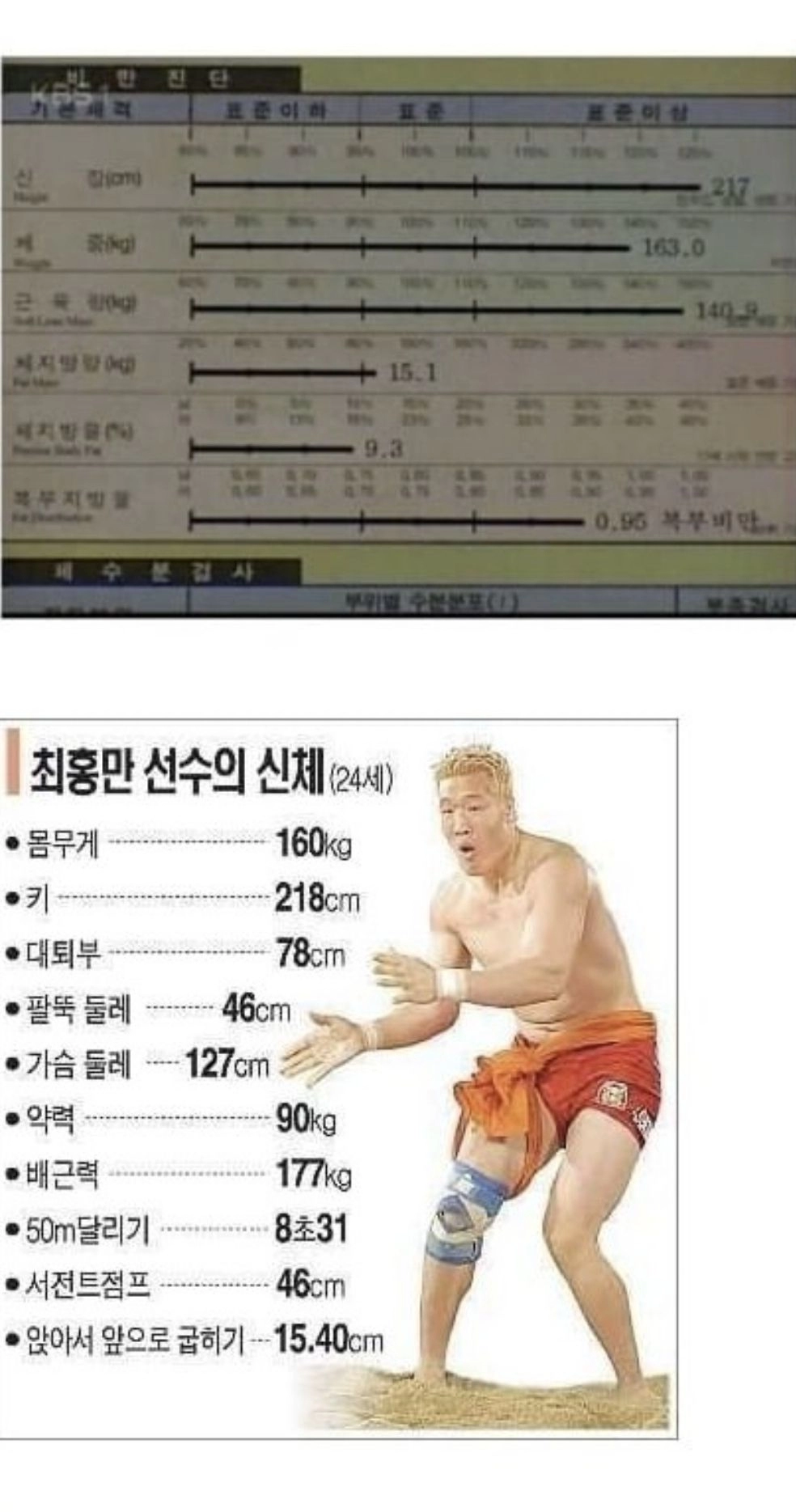 전성기 최홍만 근육 수준 ㄷㄷㄷ