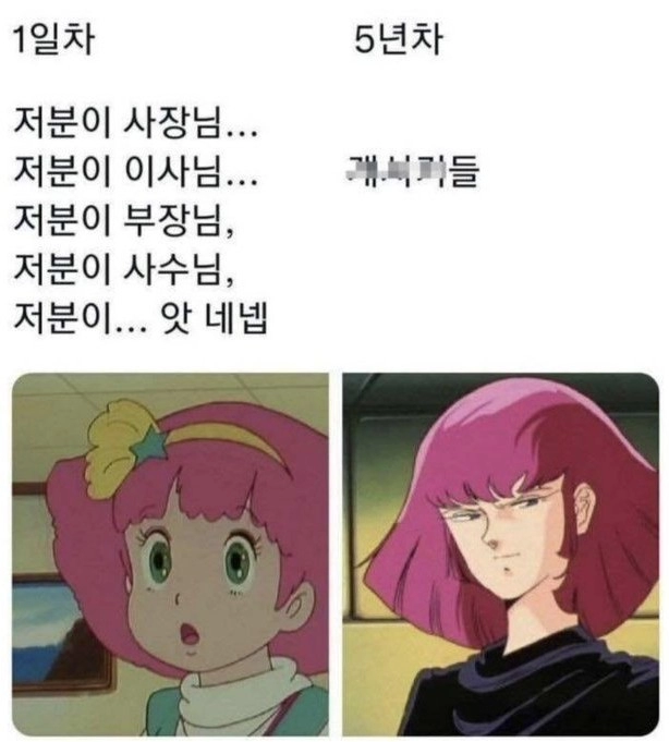 회사 1일차 신입사원과 5년차 대리의 차이