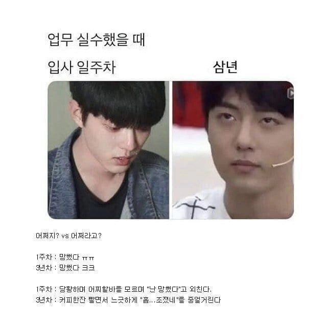 입사 초기vs 입사 n년차