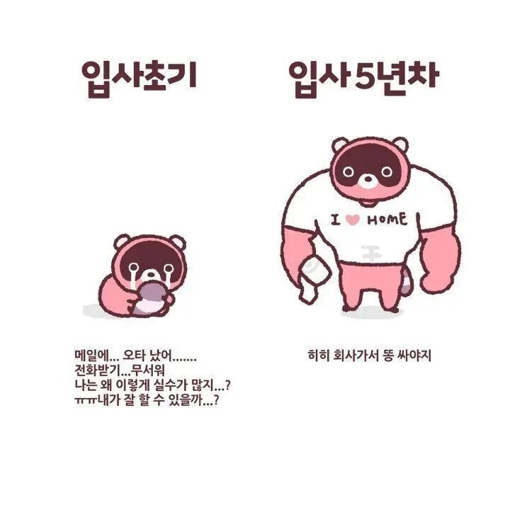 입사 초기vs 입사 n년차