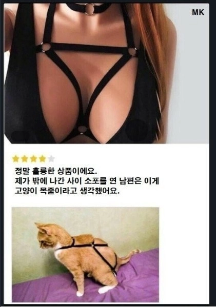 '남편은 이게 고양이 목줄이라고 생각해요'