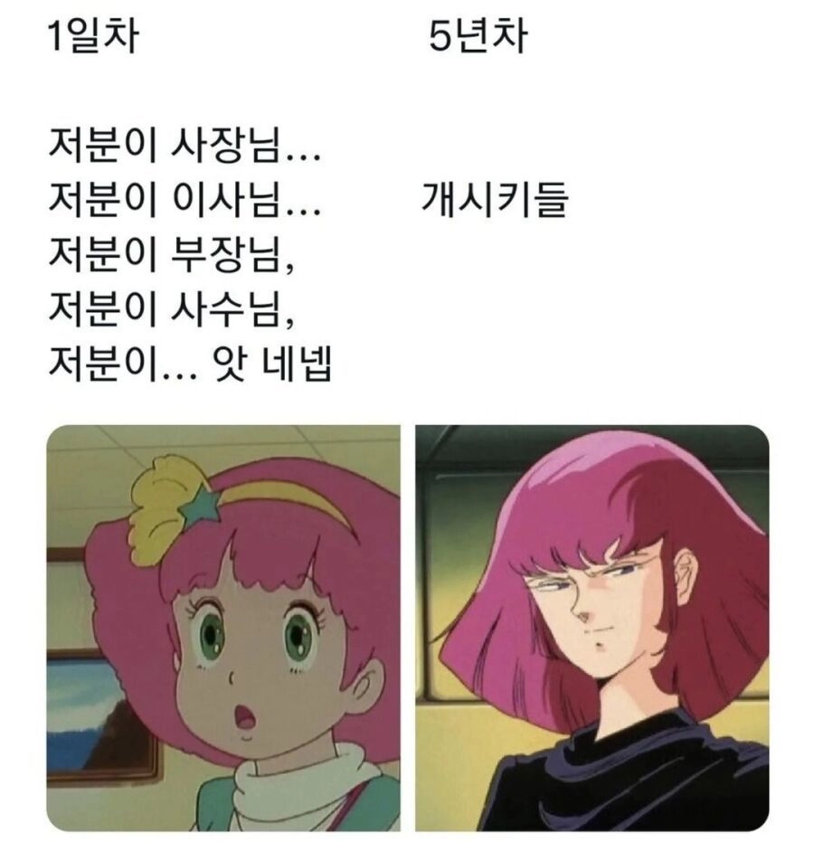 입사 초기vs 입사 n년차