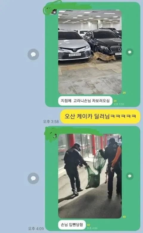 중고차 보러온 손님 119 불러서 내쫓은 매장